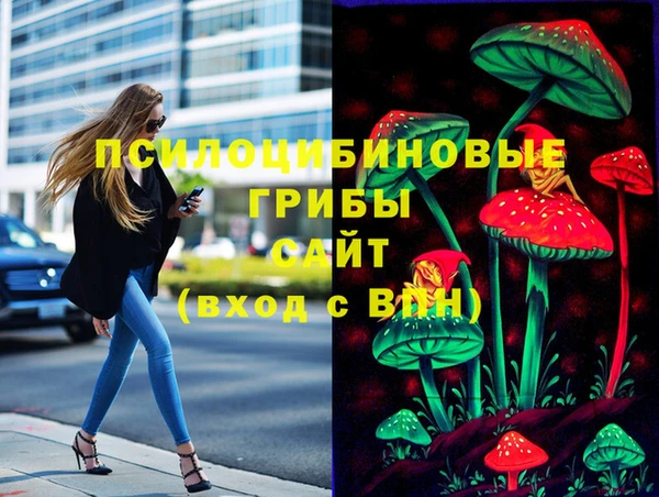 мдпв Балахна
